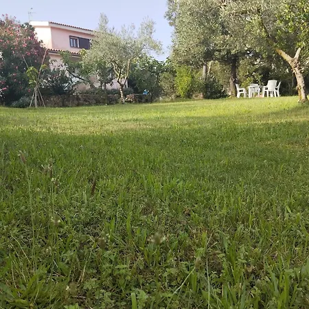 Apartment In Bruno *