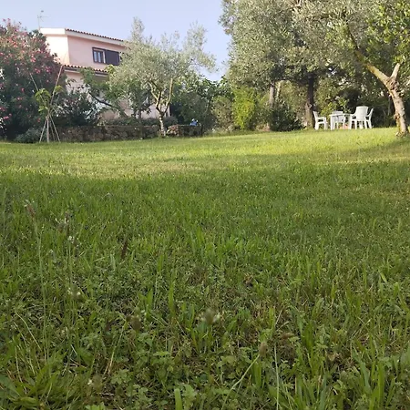 In Bruno * Olbia